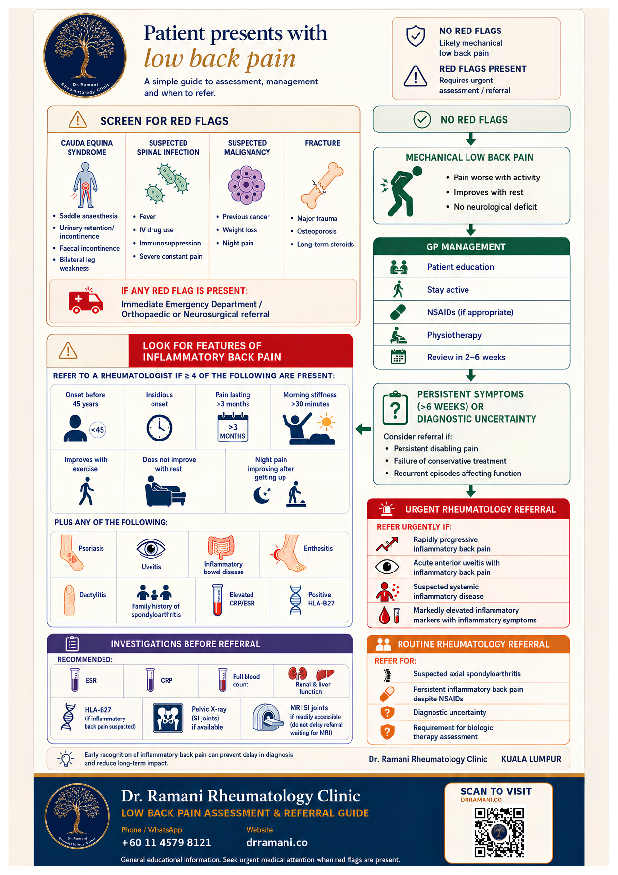 Low back pain referral guide for doctors: red flag screening, inflammatory versus mechanical features, primary care management and rheumatology referral criteria.