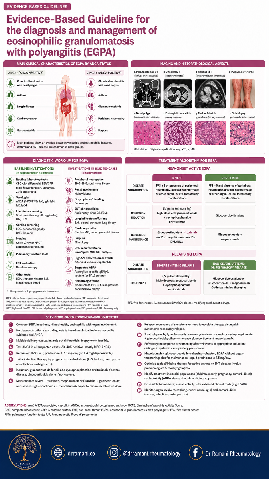 Evidence-based guideline infographic for eosinophilic granulomatosis with polyangiitis: clinical characteristics by ANCA status, imaging and histopathology, diagnostic work-up, treatment algorithm for new-onset and relapsing EGPA, and 16 recommendation statements